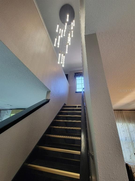 12854 BOGGY CREEK DRIVE photo 14
