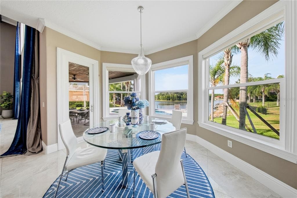 10711 CORY LAKE DRIVE photo 8