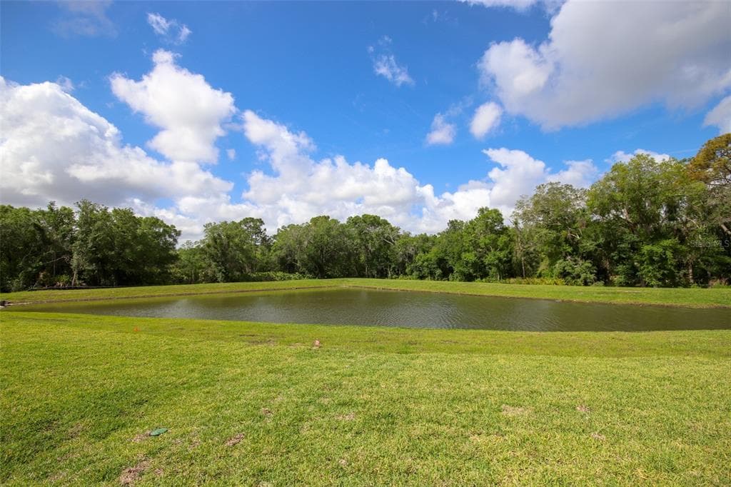 10347 ALDER GREEN DRIVE photo 2