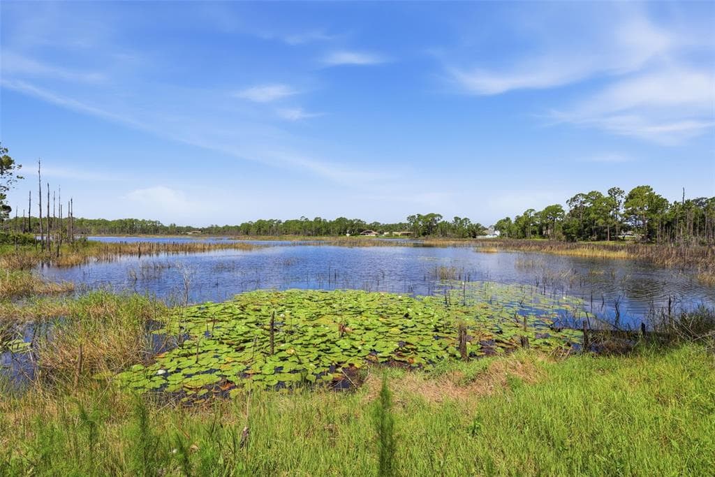 516 GLEN HAVEN DRIVE photo 17