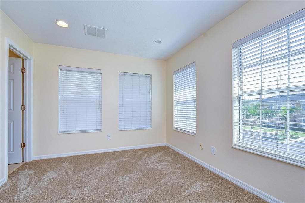 6919 TOWERING SPRUCE DR photo 23