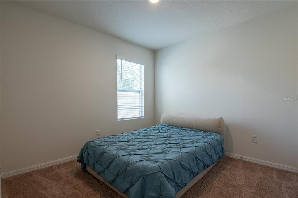 2433 WHITE POPPY DRIVE photo 9