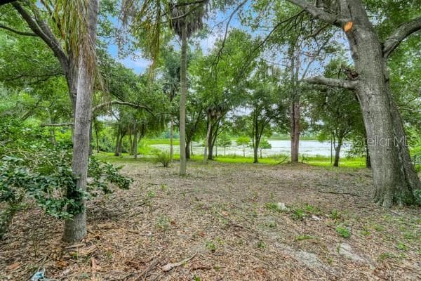 14436 CLERANDO DR photo 24