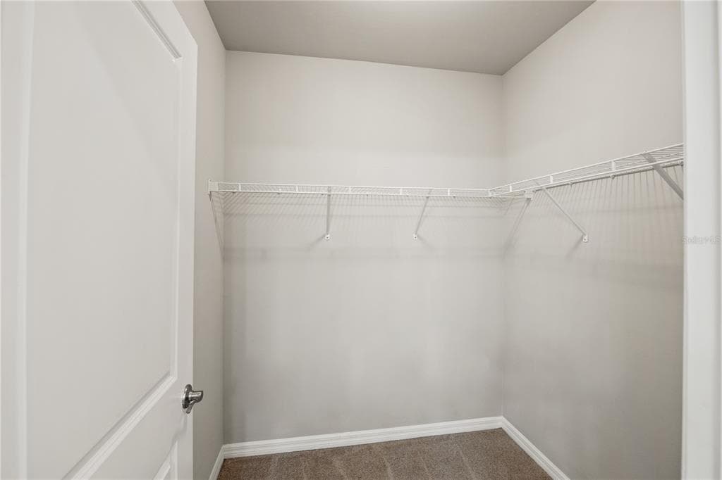 16112 BRIDLE RIDGE STREET photo 16