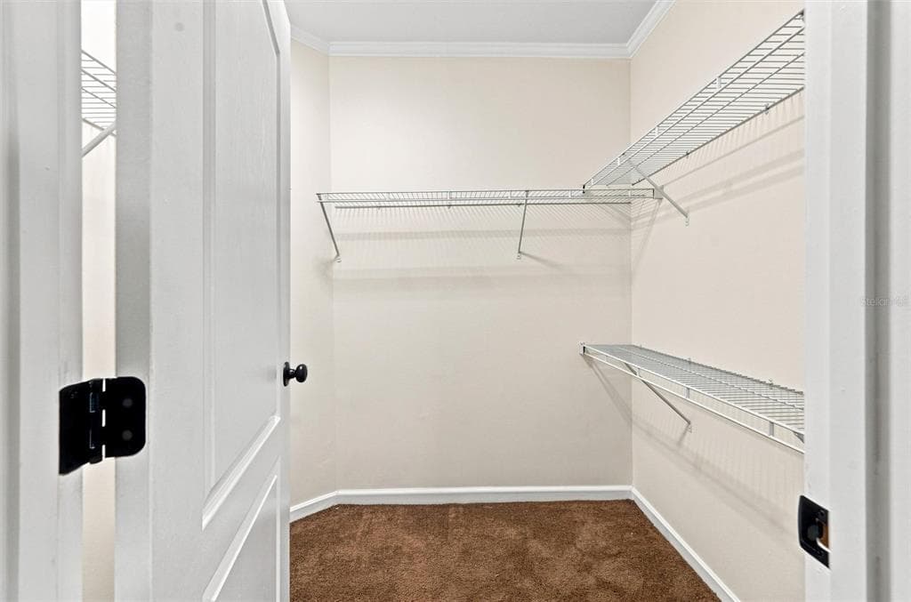3316 HOLLY SPRINGS DRIVE photo 10