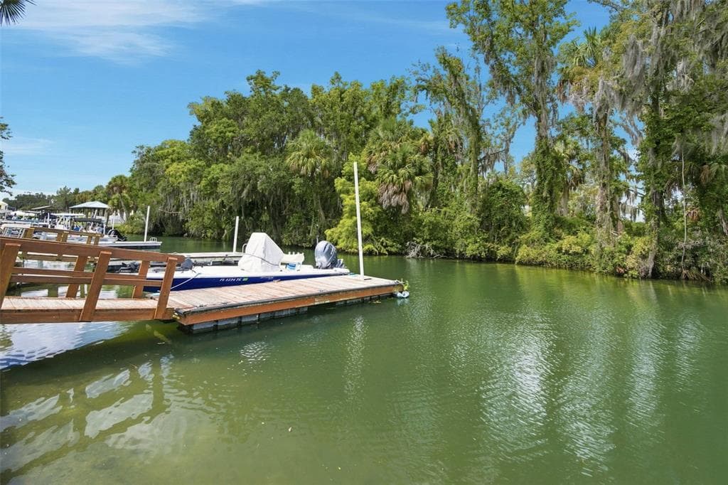 65 BEACH LANE N photo 7
