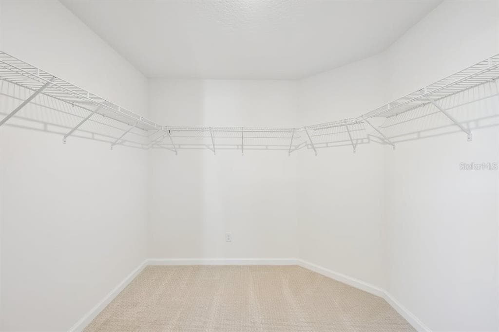 110 TEA OLIVE DRIVE photo 20