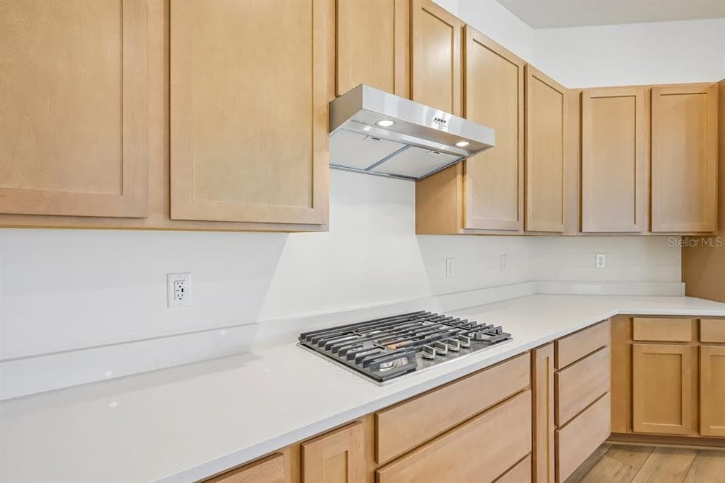 110 TEA OLIVE DRIVE photo 9