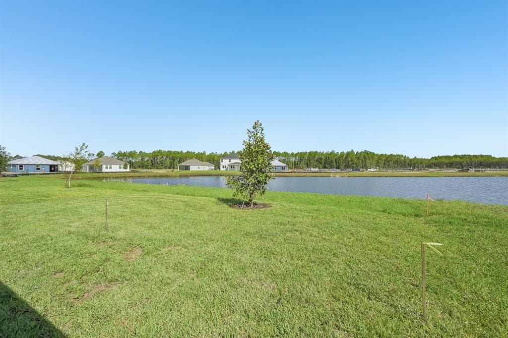 110 TEA OLIVE DRIVE photo 25