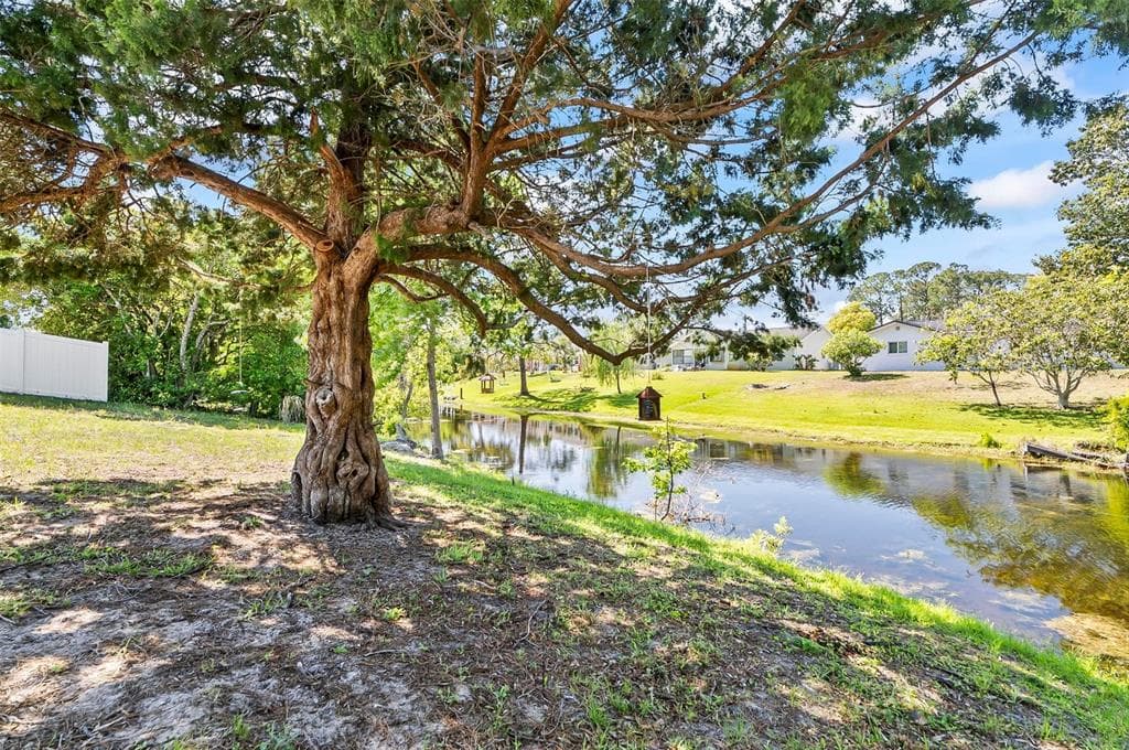 45 FARRAGUT DRIVE photo 22