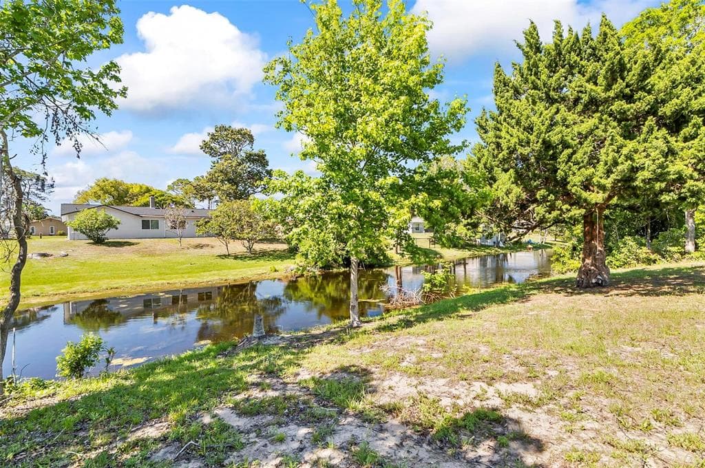 45 FARRAGUT DRIVE photo 21