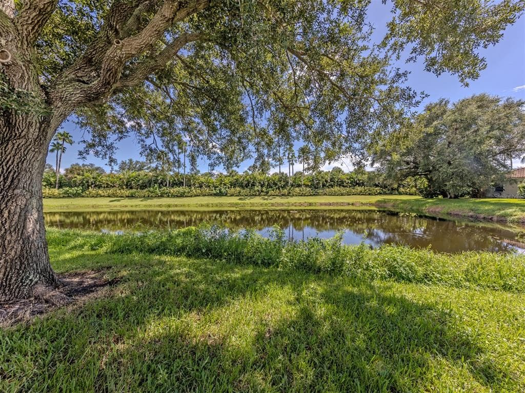 321 WILD PINE WAY photo 6