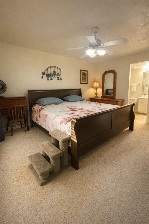1640 JUNO TRAIL 103F photo 5
