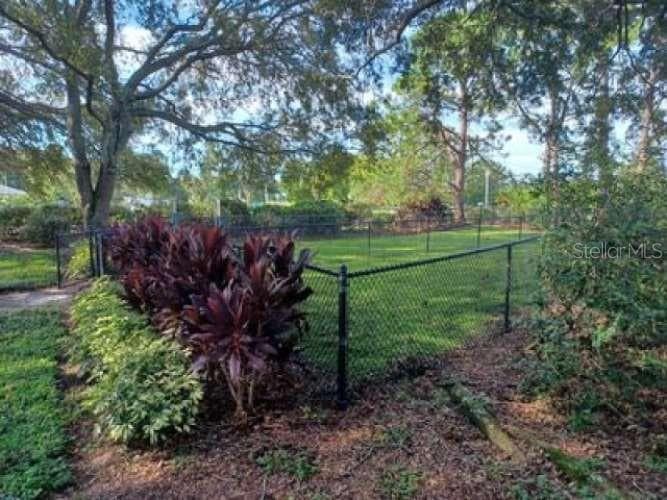 10024 STRAFFORD OAK COURT 807 photo 20