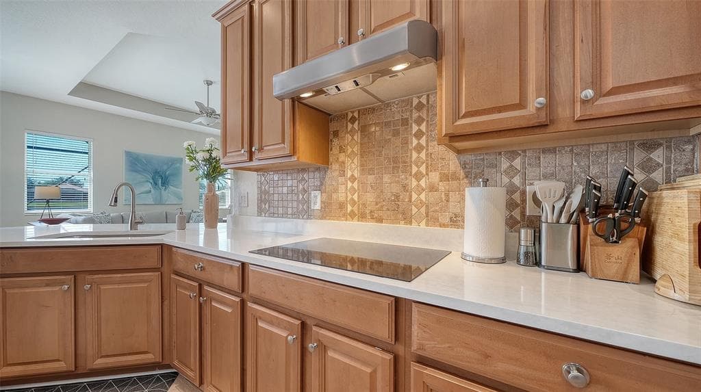 415 GRAND PRESERVE COVE photo 14