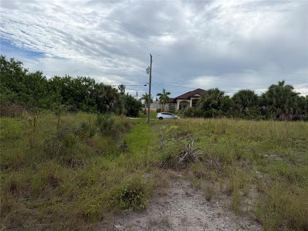 10385 HARLINGEN STREET photo 6