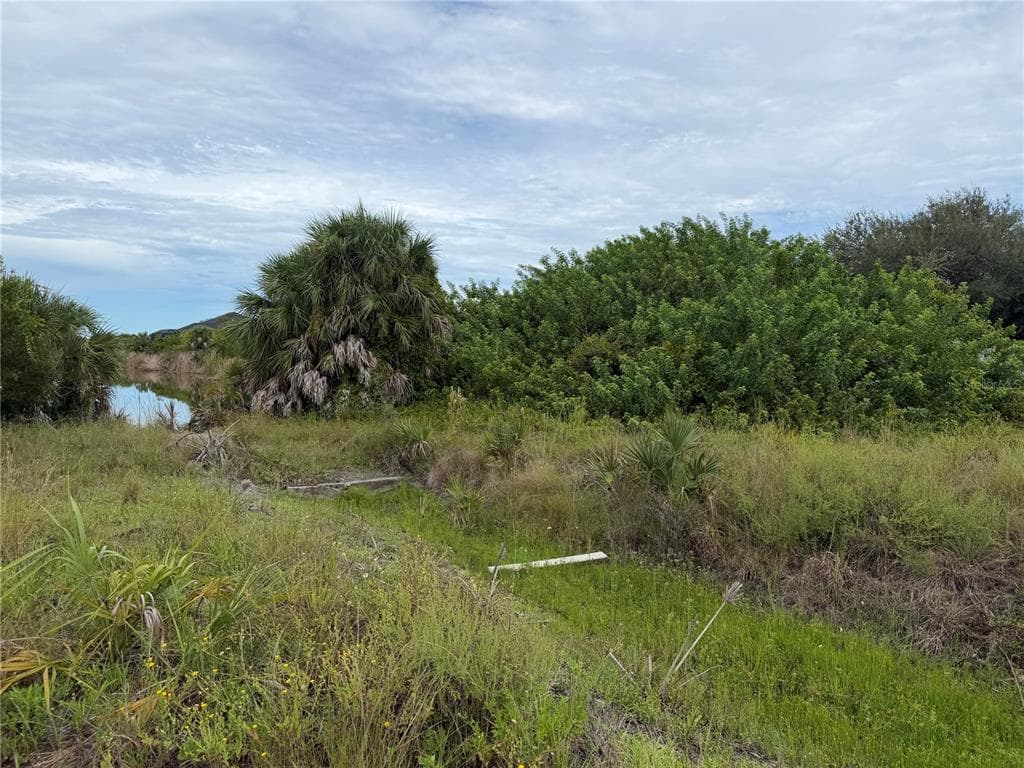 10385 HARLINGEN STREET photo 4
