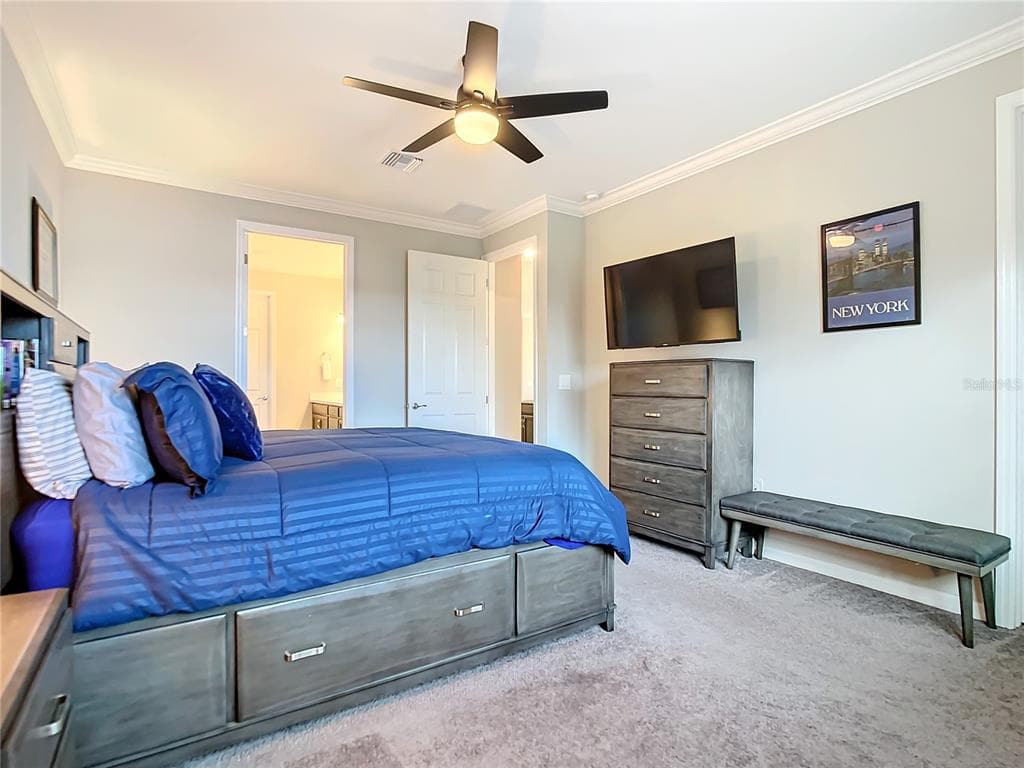 177 VINADIO BOULEVARD photo 18