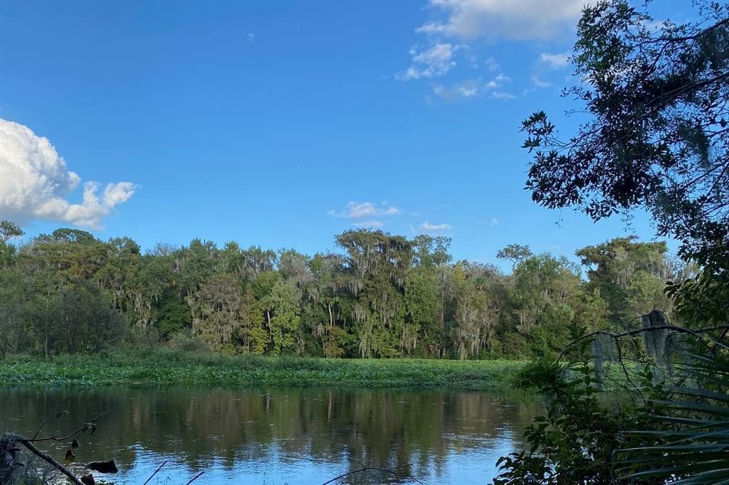 31026 NOCATEE TRAIL photo 10