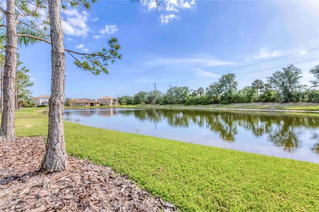 11504 DANCING RIVER DRIVE photo 5