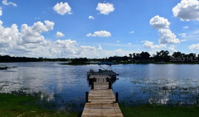 9793 LAKE GEORGIA DRIVE 1