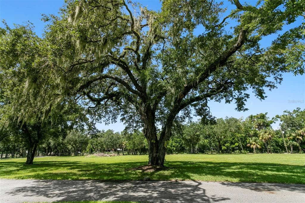 2805 GULF CITY ROAD photo 25