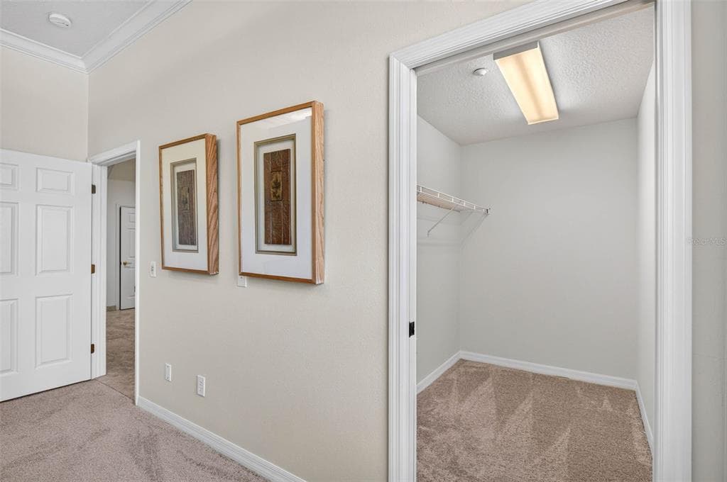 10071 GULF BOULEVARD photo 15