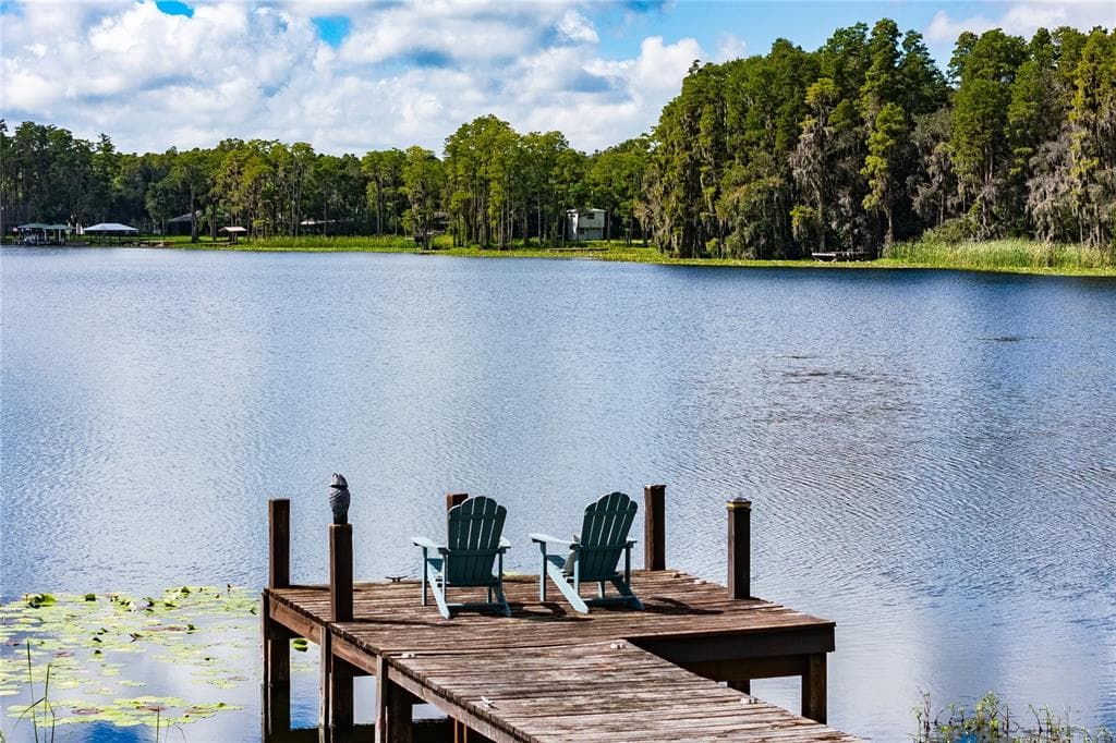 2963 LAKE SAXON DRIVE photo 20