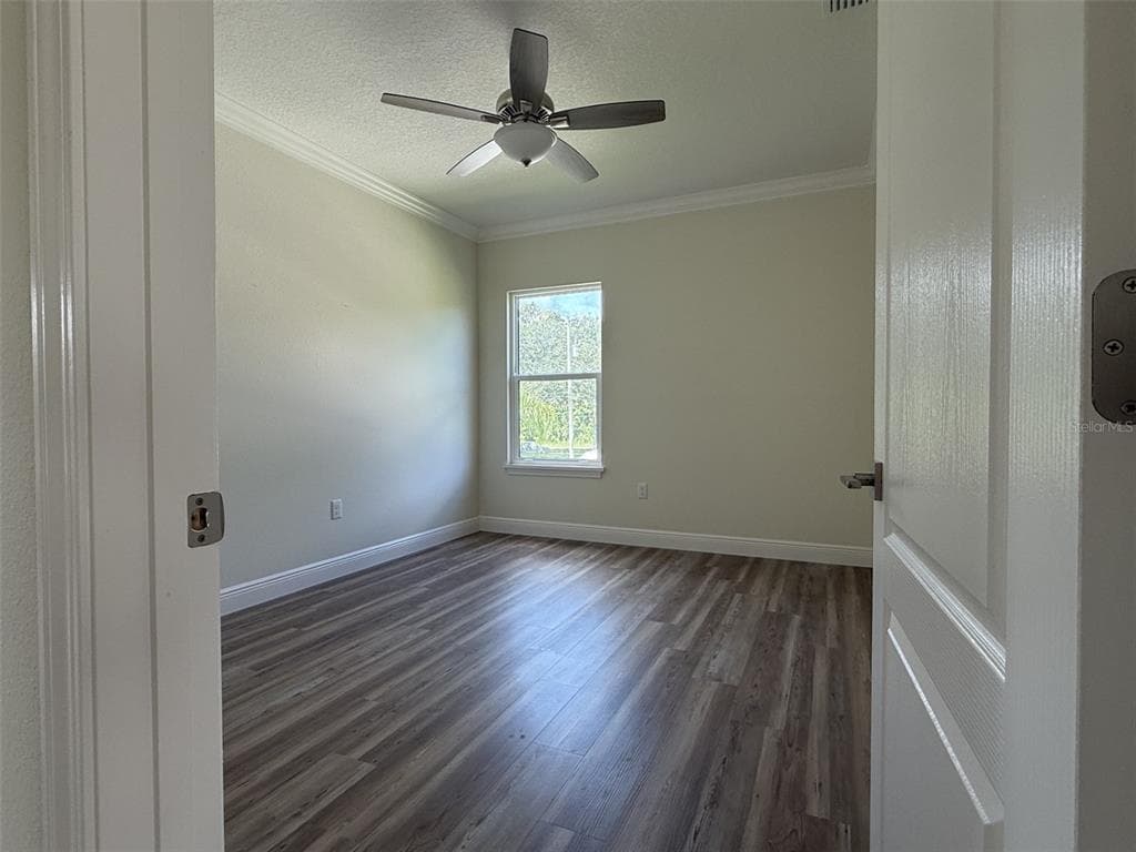 6435 FINANCE AVENUE photo 16