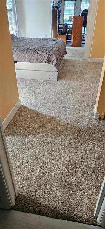 1117 RUSHMORE DRIVE photo 17