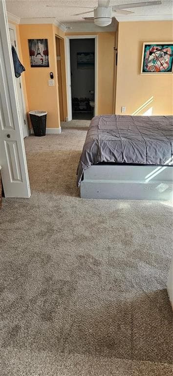 1117 RUSHMORE DRIVE photo 16