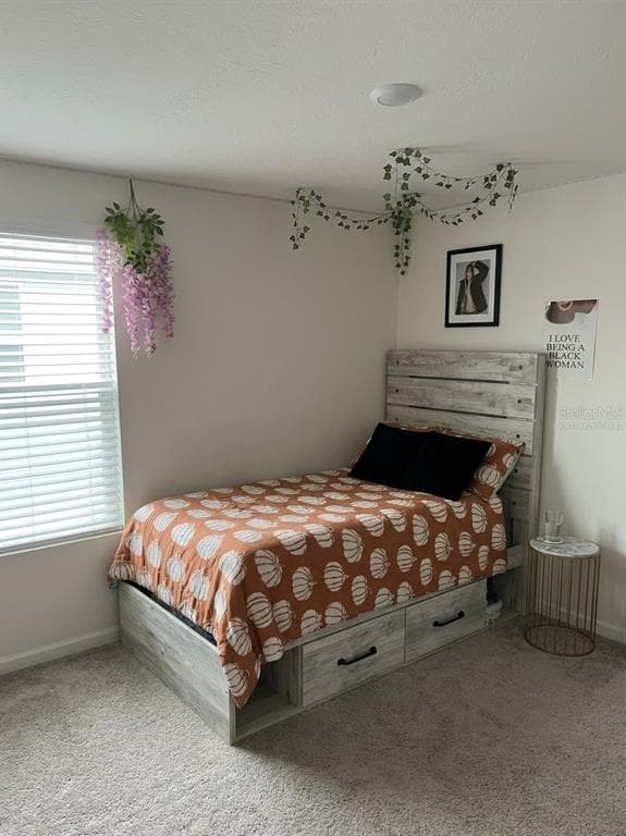 5058 GRANITE DUST PLACE photo 9