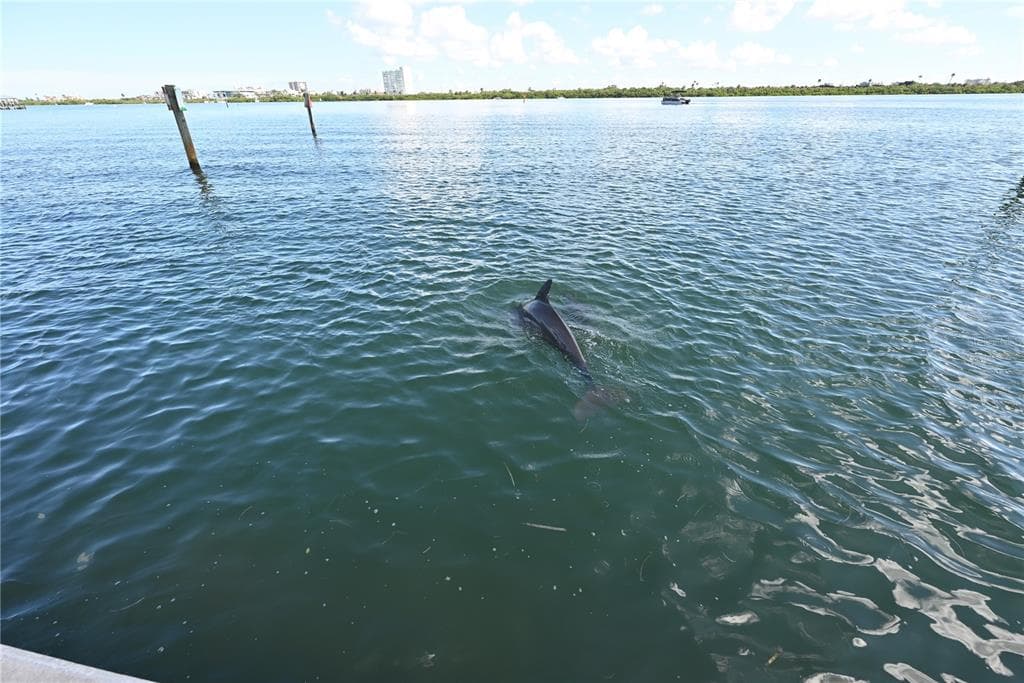 800 S GULFVIEW BOULEVARD 508 photo 23