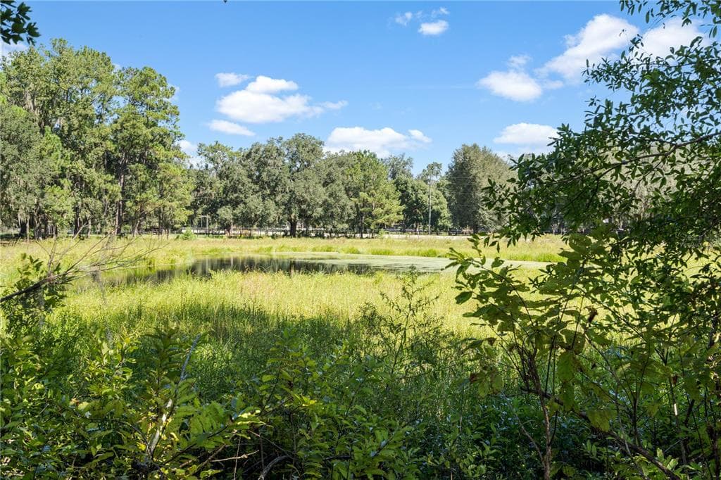 20778 N HWY 329 photo 6