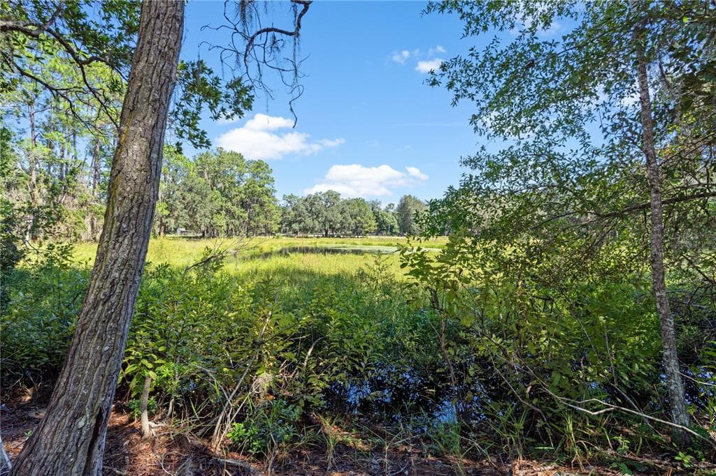 20778 N HWY 329 photo 7