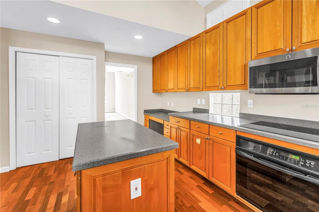 9724 SAGO POINT DRIVE photo 13
