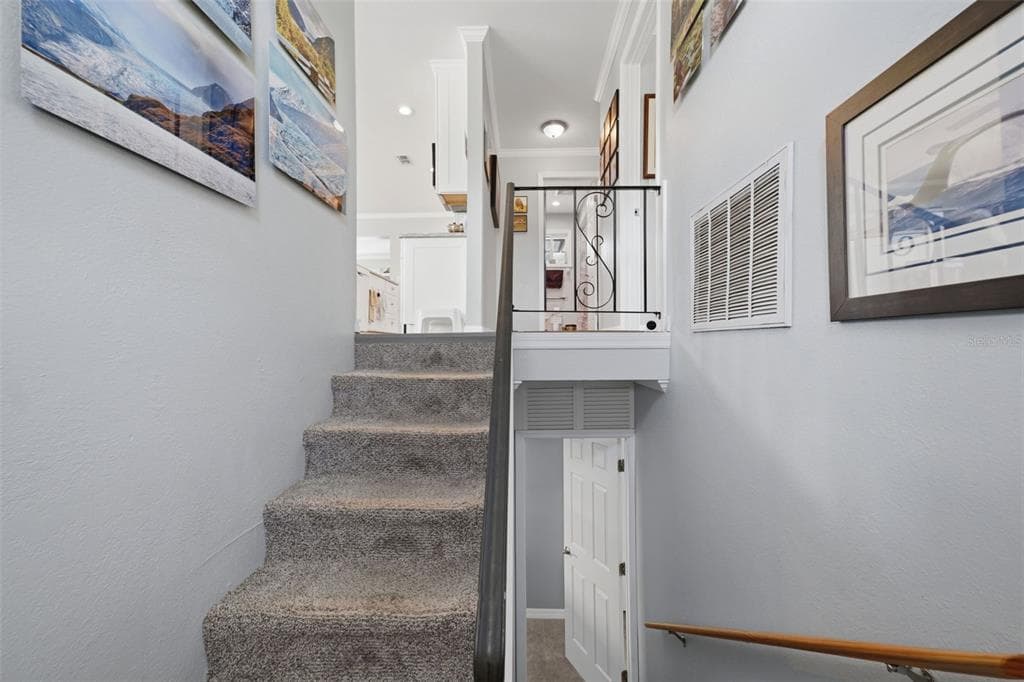 3425 CRAPE MYRTLE DRIVE photo 16