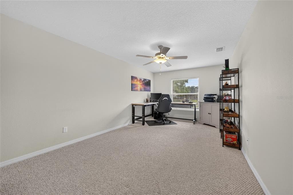 113 ARENA LAKE DRIVE photo 21