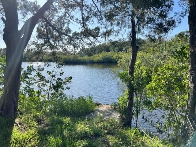 5275 MILLER BAYOU DRIVE photo 7