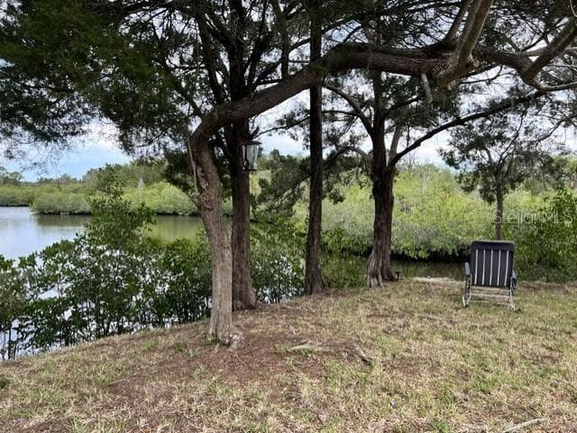 5275 MILLER BAYOU DRIVE photo 5
