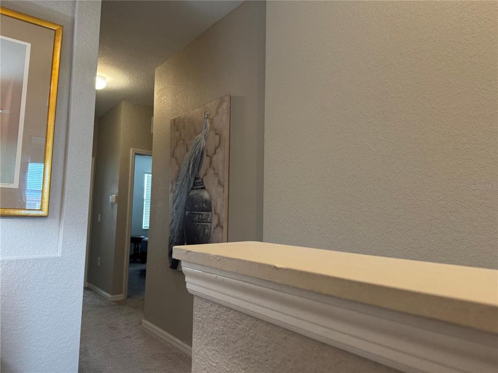 20448 LAGENTE CIRCLE photo 13
