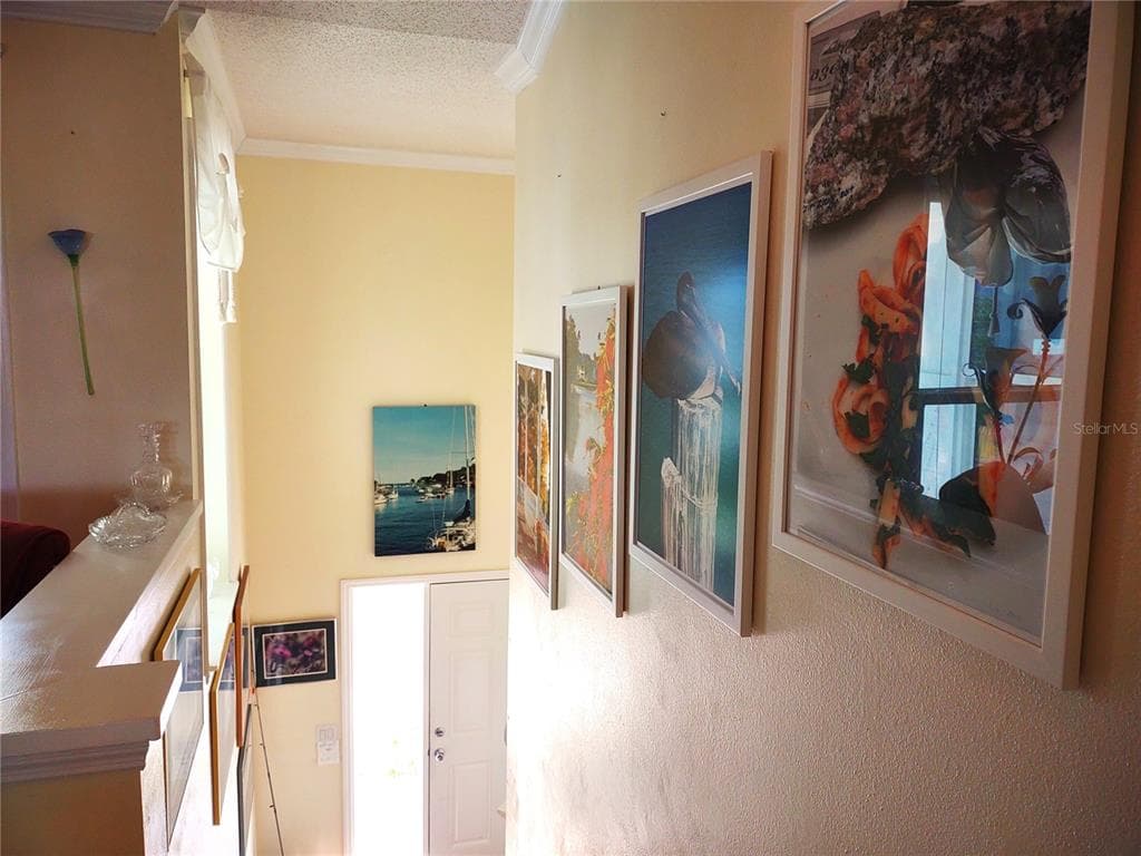 876 AUDUBON DRIVE 876 photo 6