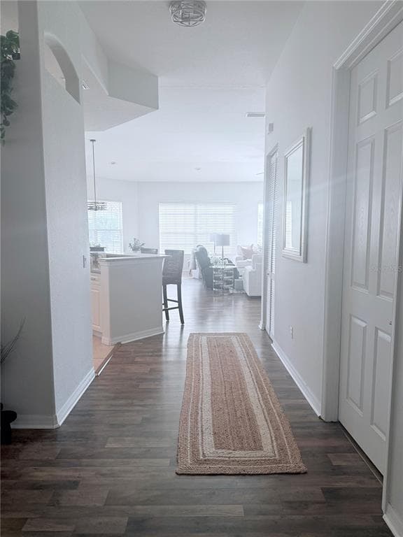 1708 TRIANO CIRCLE 1708 photo 25