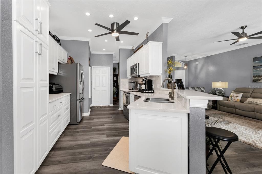 24347 BUCKINGHAM WAY photo 10
