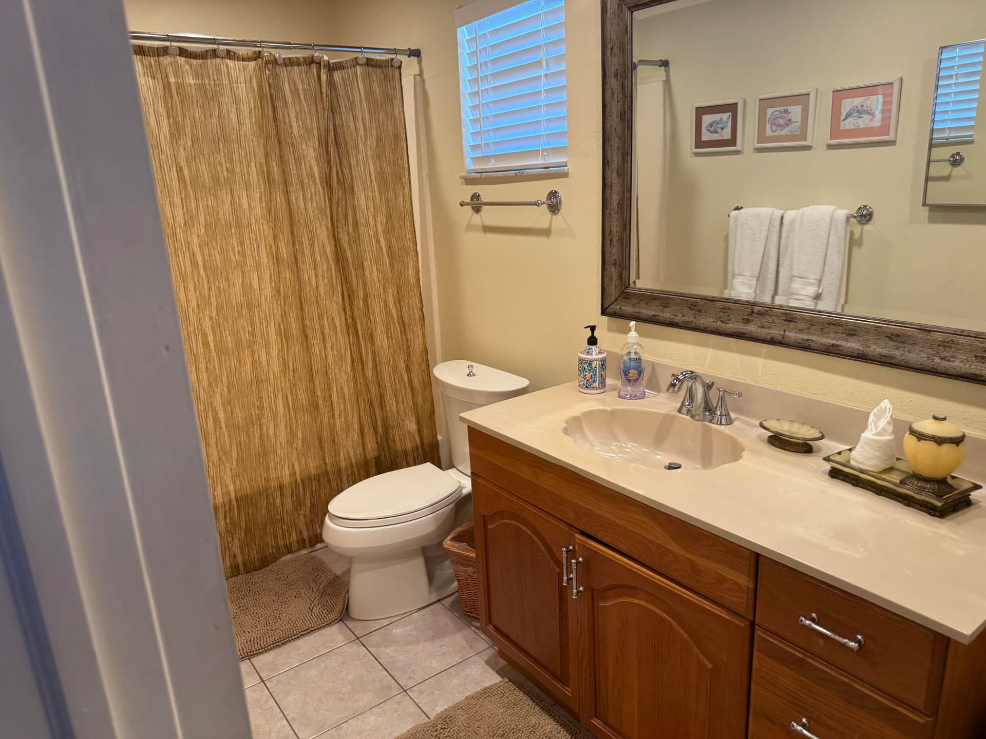 118 Cortez Drive B2 photo 11