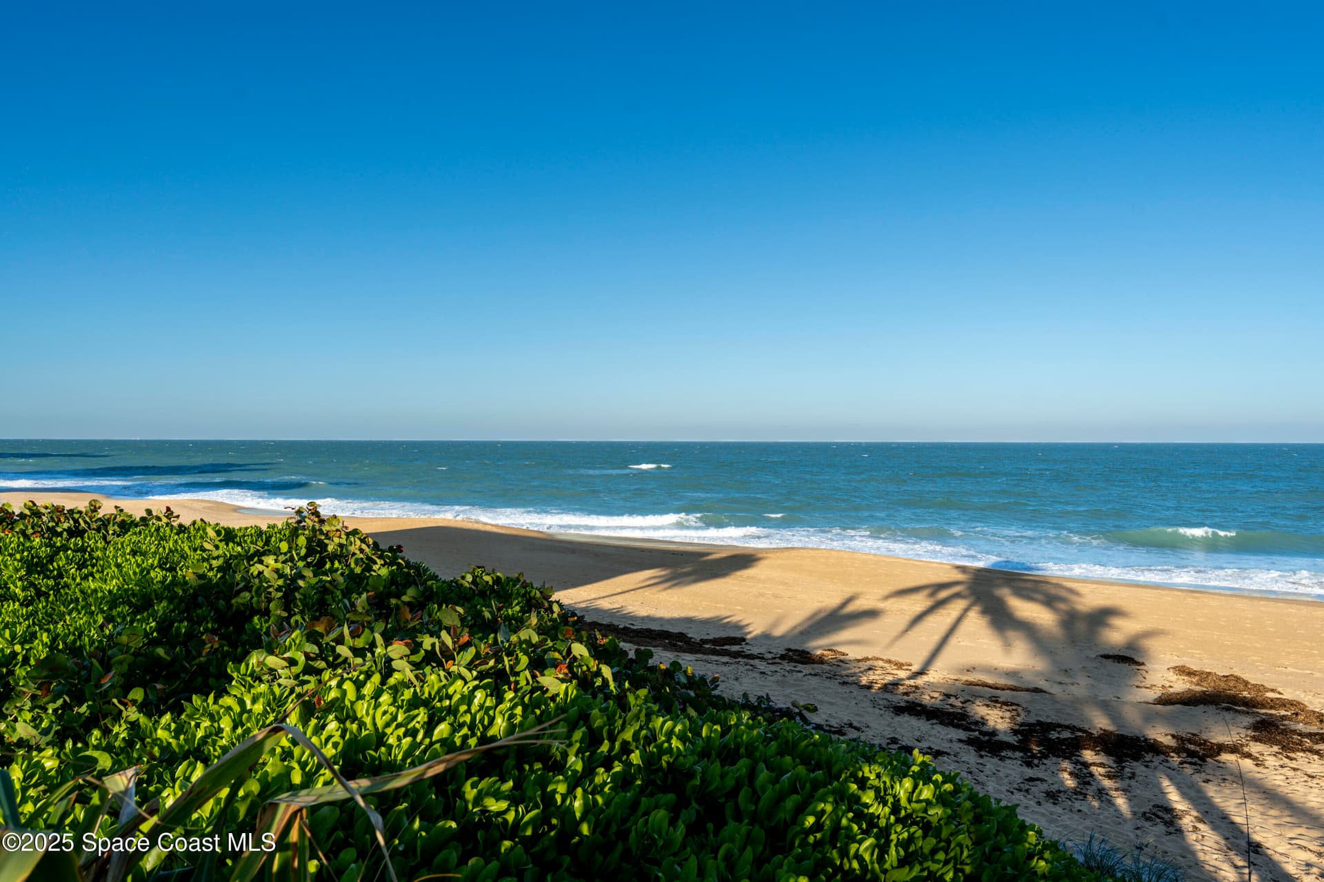 2925 N Highway A1a 103 photo 18