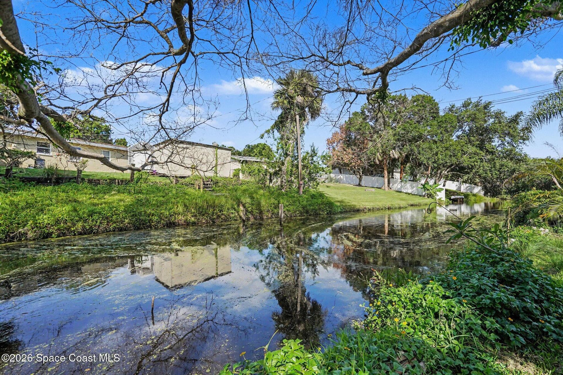 427 Lynn Avenue photo 4