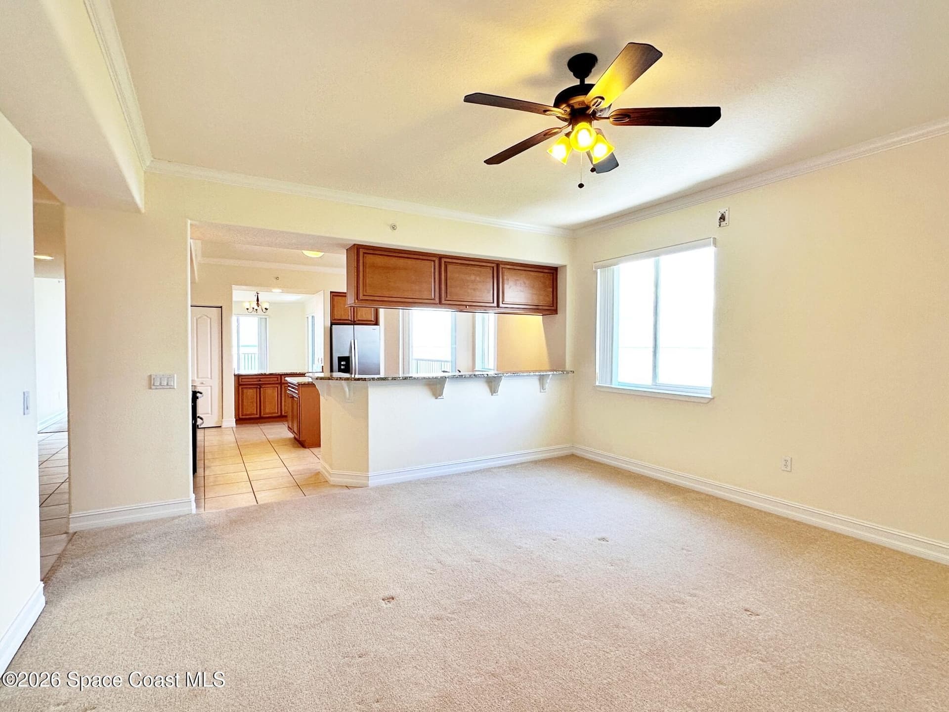 3205 S Washington Avenue 903b photo 21