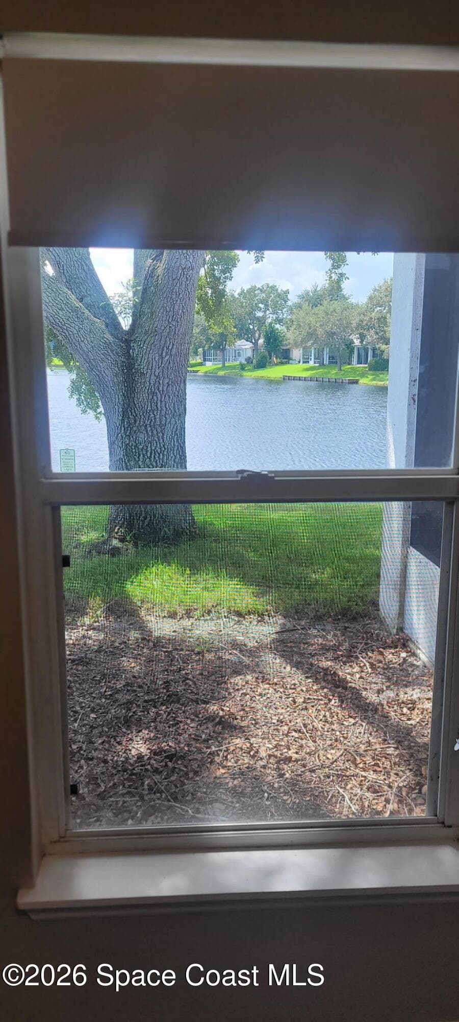 3869 La Flor Drive photo 19