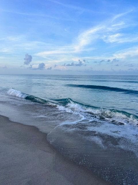 3880 N Highway A1a 603 photo 5